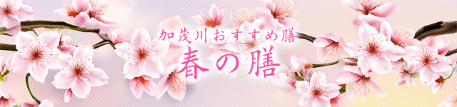加茂川おすすめ膳 春の膳